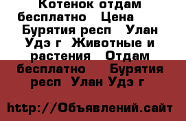 Котенок отдам бесплатно › Цена ­ 0 - Бурятия респ., Улан-Удэ г. Животные и растения » Отдам бесплатно   . Бурятия респ.,Улан-Удэ г.